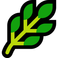 lechuga