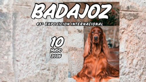 Entrada adulto + pase infantil EXPOSICIÓN CANINA.