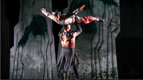 GRAN CIRCO ACROBÁTICO DE CHINA. Palacio de Congresos Villanueva