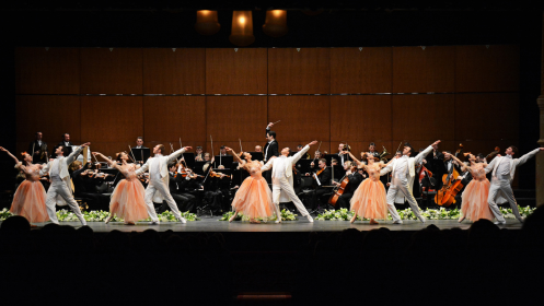 JOHANN STRAUSS Gran Concierto de Año Nuevo en Cáceres